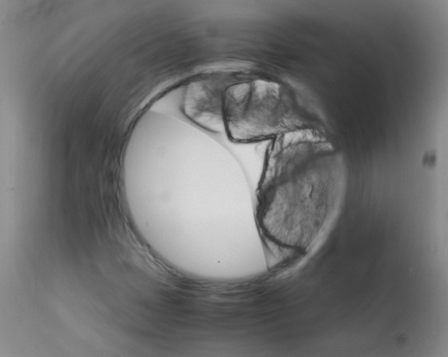 X0000111901401200908240950