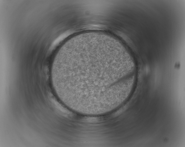 X0000111901402200908240950