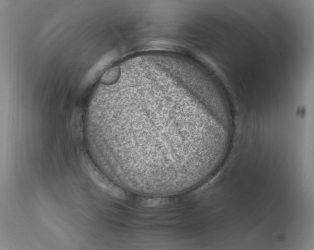 X0000111901403200908240950