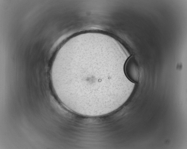 X0000111901404200908240950