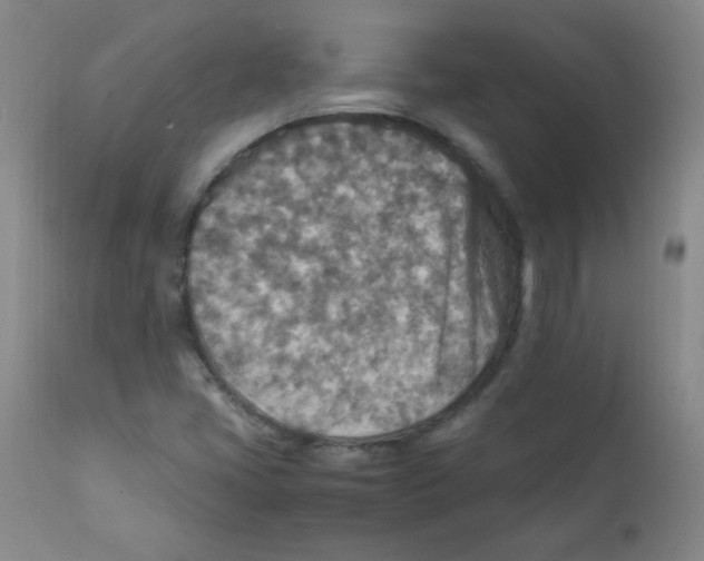 X0000111901405200908240950