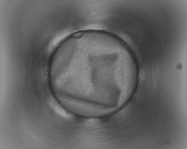 X0000111901406200908240950