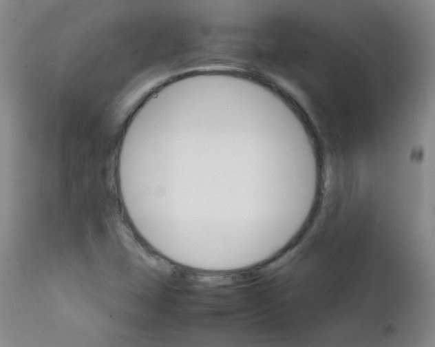 X0000111901407200908240950