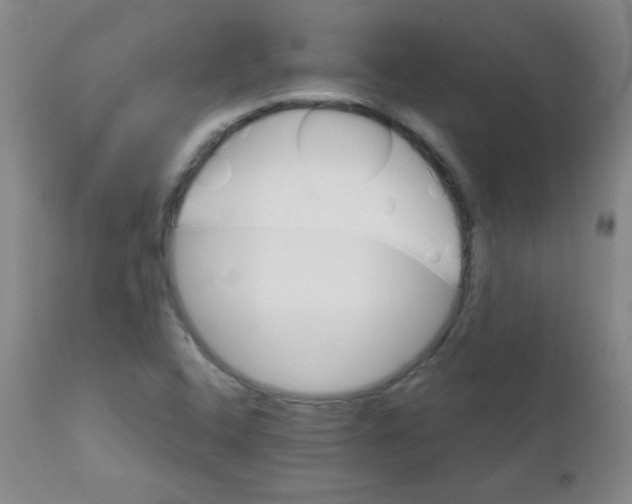 X0000111901408200908240950