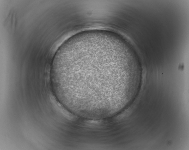 X0000111901409200908240950