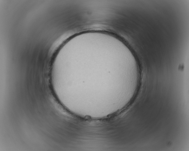 X0000111901410200908240950