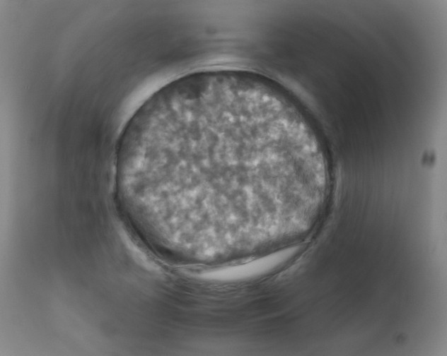 X0000111901413200908240951