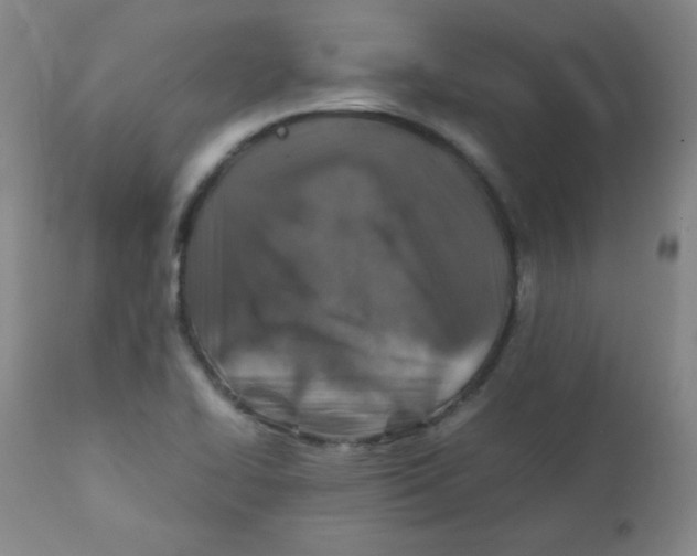 X0000111901414200908240951