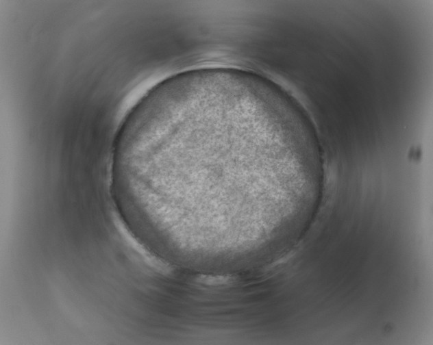 X0000111901415200908240951