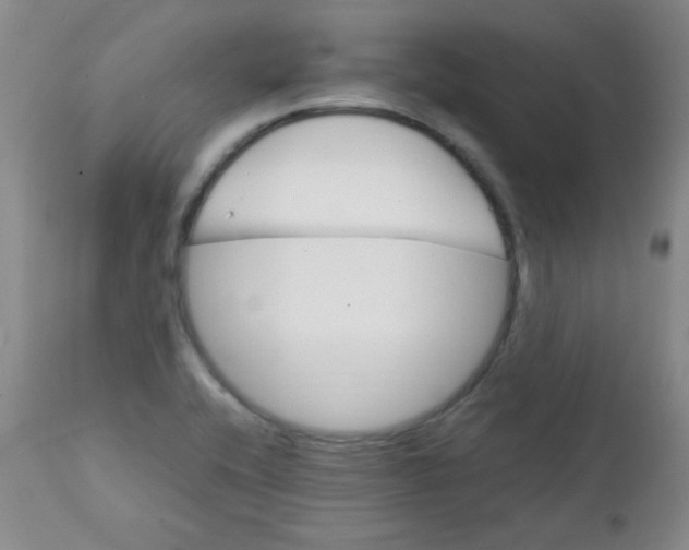 X0000111901416200908240951