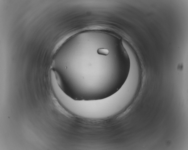 X0000111901417200908240951