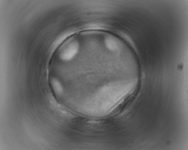 X0000111901419200908240951