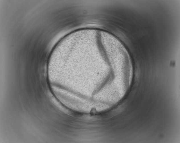 X0000111901420200908240951