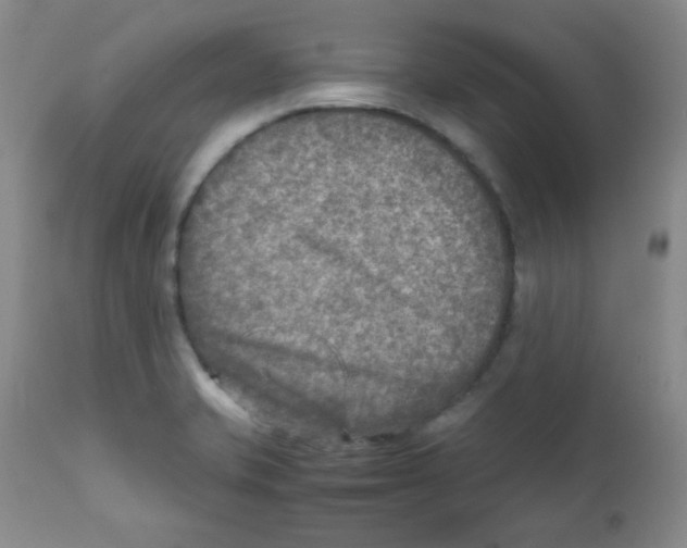 X0000111901421200908240951