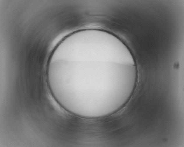 X0000111901422200908240951