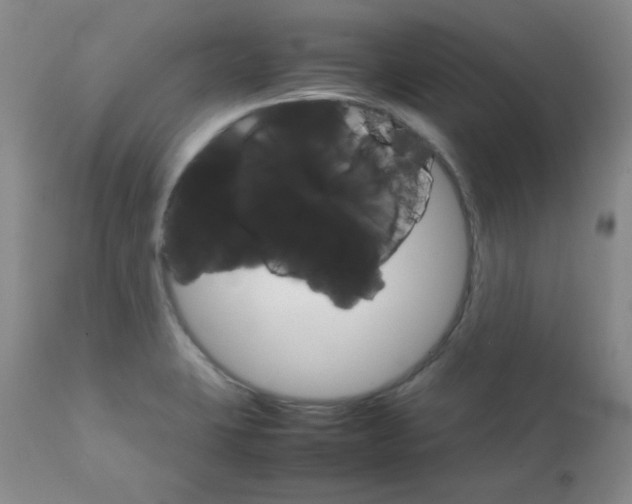 X0000111901423200908240951