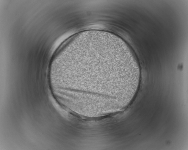 X0000111901426200908240951