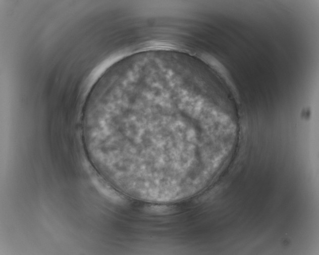 X0000111901427200908240951