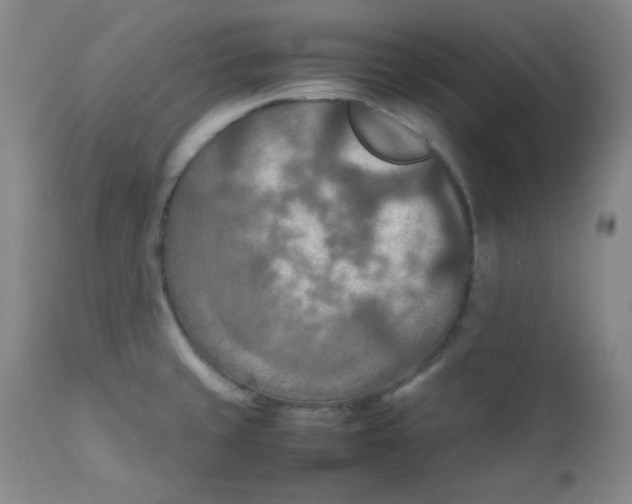 X0000111901429200908240951