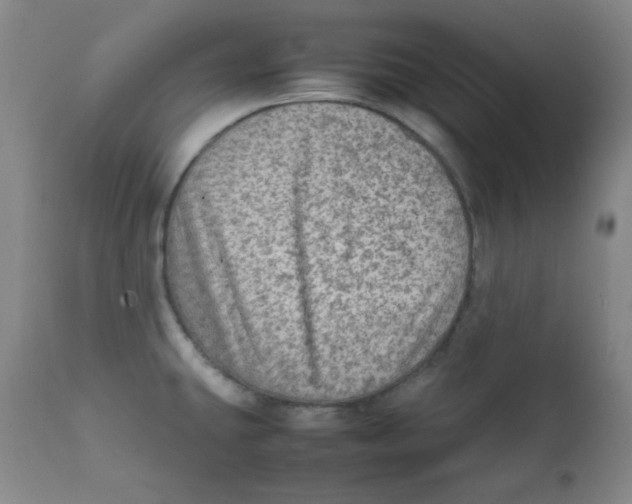 X0000111901431200908240951