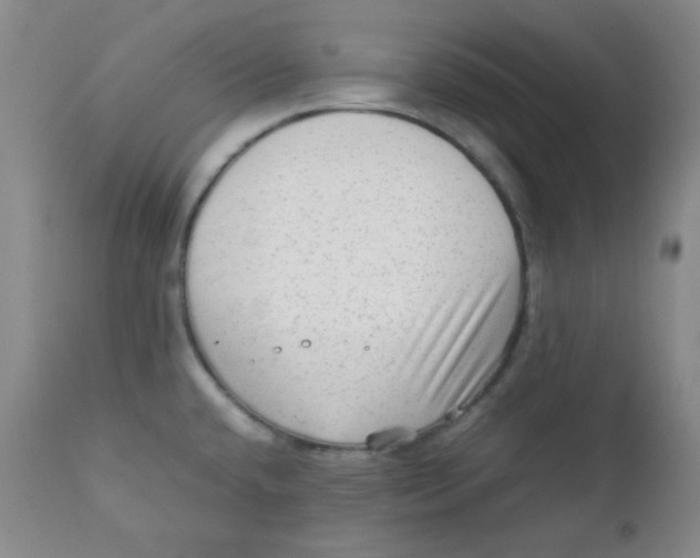 X0000111901432200908240951