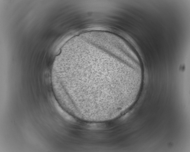 X0000111901433200908240951