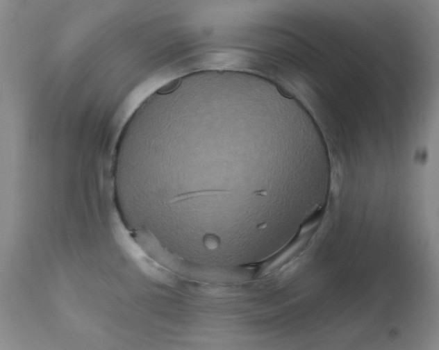 X0000111901434200908240951