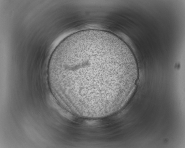 X0000111901435200908240951