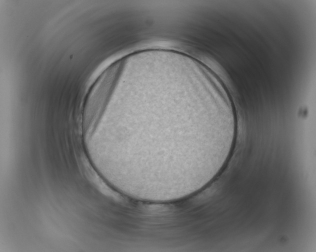 X0000111901436200908240951