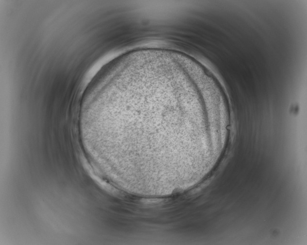 X0000111901437200908240951