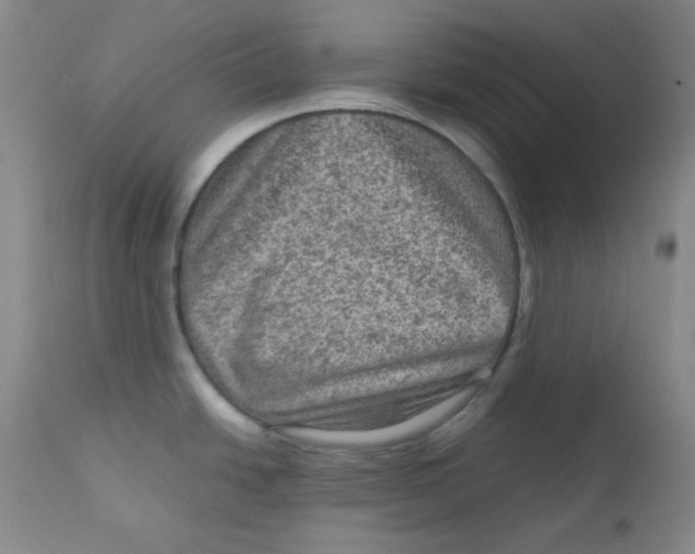 X0000111901438200908240951