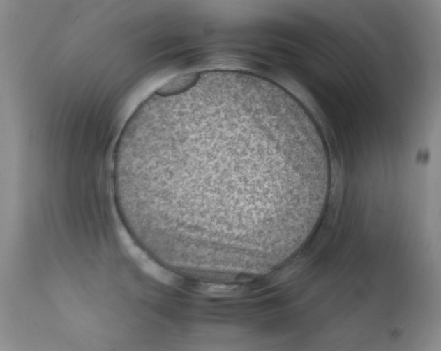 X0000111901439200908240951