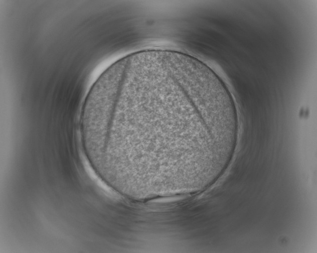 X0000111901440200908240951