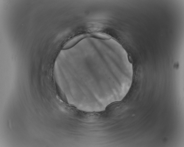 X0000111901441200908240950