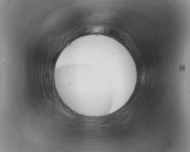 X0000111901442200908240950