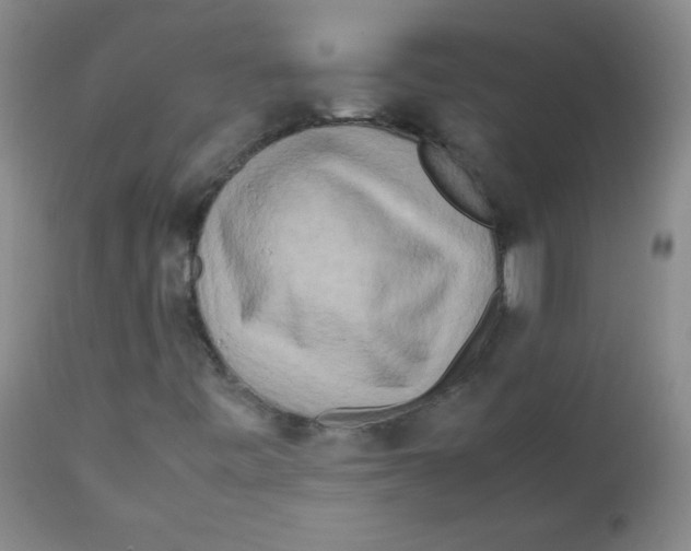 X0000111901443200908240950