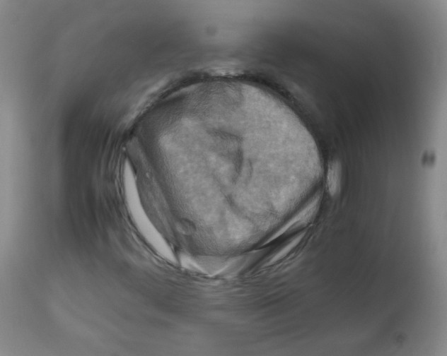 X0000111901444200908240950