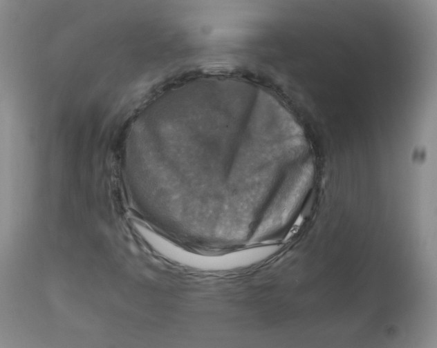 X0000111901445200908240950