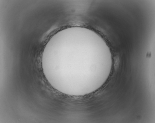 X0000111901446200908240950