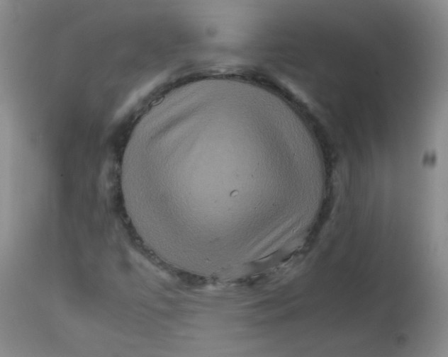 X0000111901447200908240950