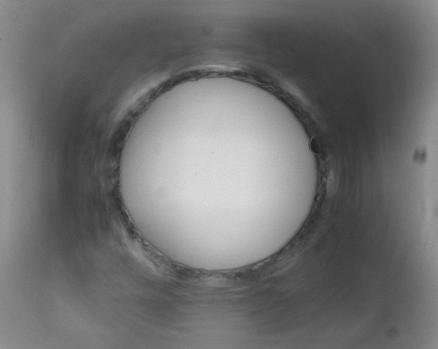 X0000111901448200908240950