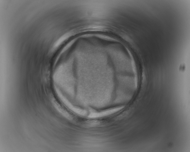 X0000111901450200908240950