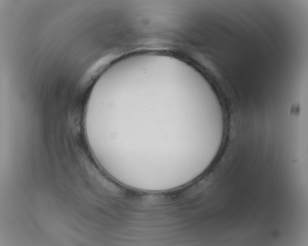 X0000111901451200908240950