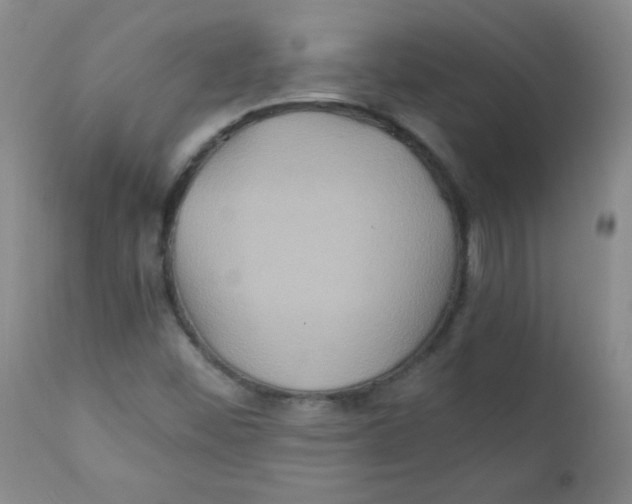 X0000111901452200908240950