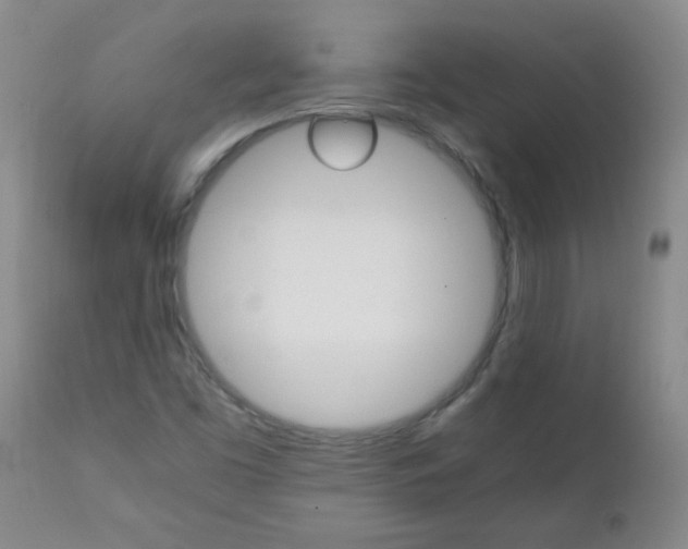 X0000111901453200908240950