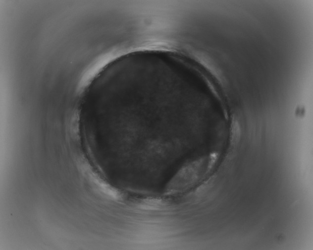 X0000111901455200908240950