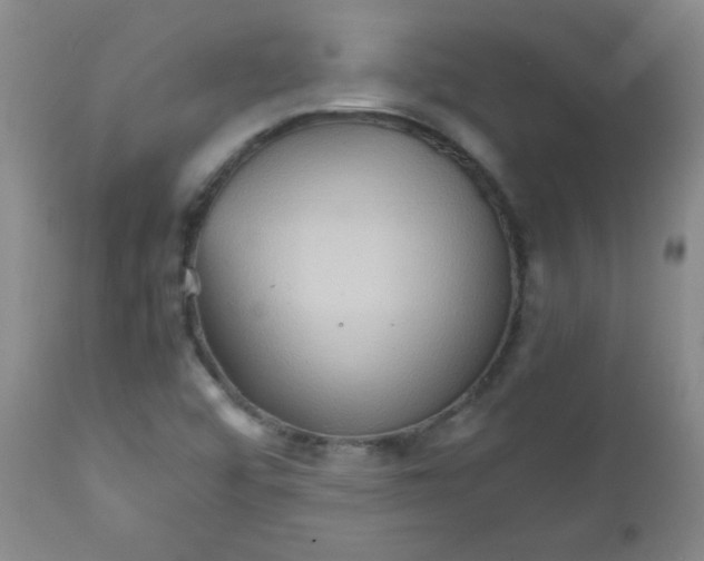 X0000111901456200908240950