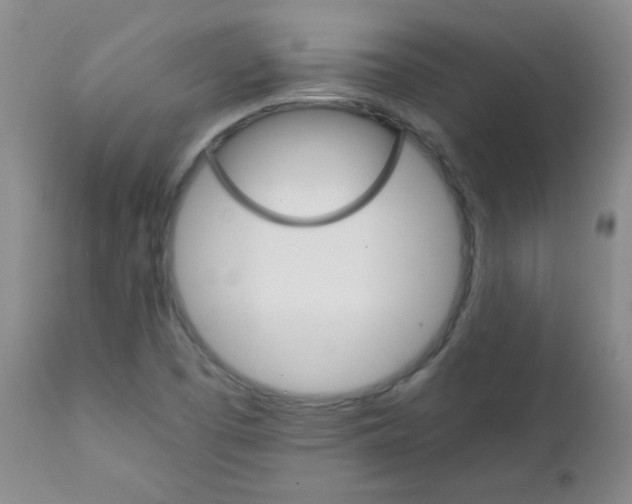 X0000111901457200908240950