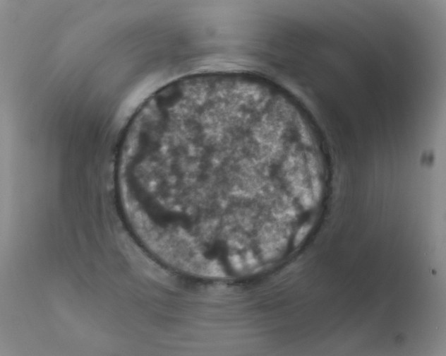 X0000111901459200908240950