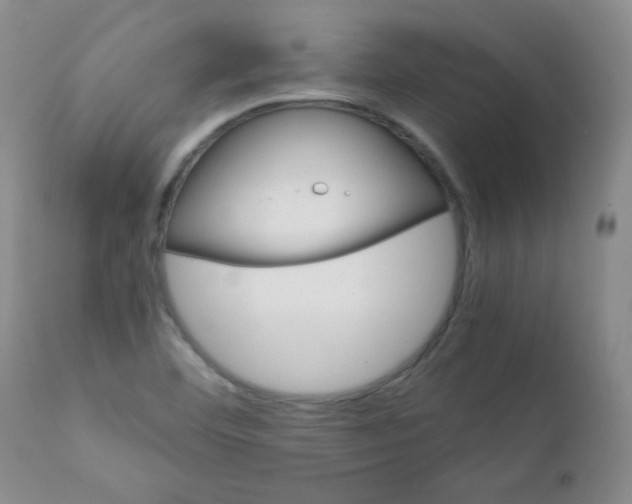 X0000111901460200908240950